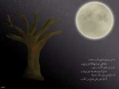 Khabeeb