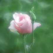 photoforum.ru Khachunts