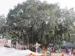 Khadoor