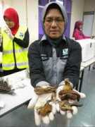ens-newswire.com Khairiah