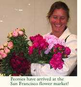 mendocinofloraldesign.com Khamoor