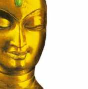 pathwaysnetwork.co.uk Khanti