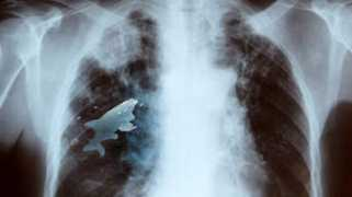 zdravi.dama.cz Khargon