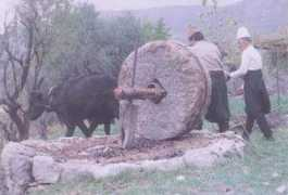 almashriq.hiof.no Kharoub