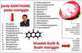 acemaxsmurah.net Khasiat