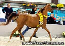 Khassal