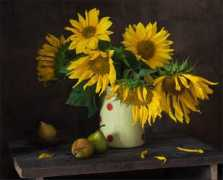 photodom.com Khazina