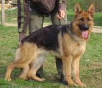 Khina