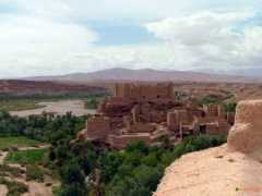 visoterra.com Khiyar