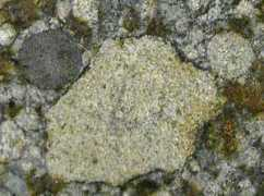 Khohar