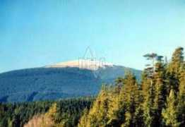 nizketatry.com Kholam