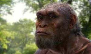 Khomo