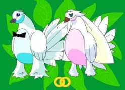 Khurts