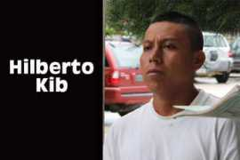 Kib
