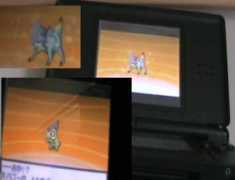 pokejungle.net Kibago