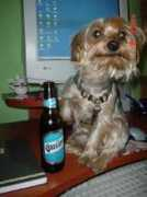 mimejoramigo.com Kichie
