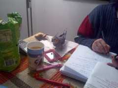 ellizaunderthelemontree.bloog.pl Kichus
