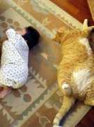 fwmail.teenee.com Kidcat