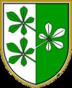 Kidri