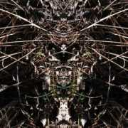 spacecollective.org Kielczyk