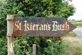 roonabeck.bellsofireland.com Kierans