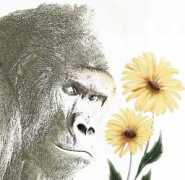 mondomonkey.com Kierk