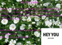 glogster.com Kietha