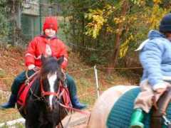 web.axelero.hu Kifor