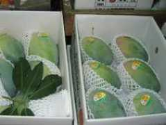 Kiitu