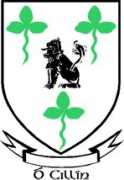heraldry.ws Kileen