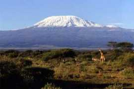 mojamatura.net Kilimanjaro
