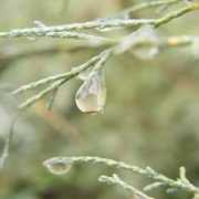 fotokritik.com Kilincli