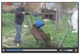 ensonhaber.com Kilisli