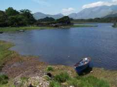 stewellington.com Killarney