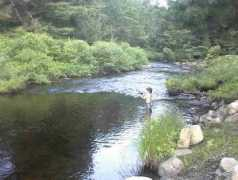 maplewoodlodging.com Killia