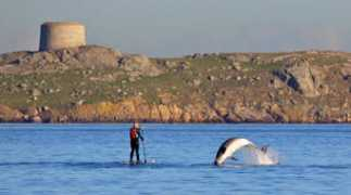 dalkeyphotos.com Killiney