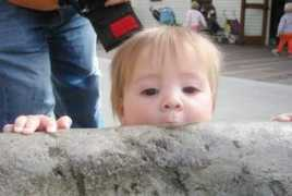 mikesbaby.com Kilroy