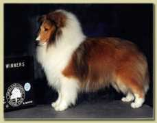 wistwin.com Kiltie
