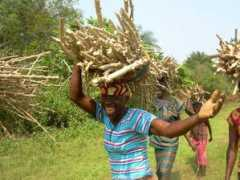 internationalministries.com Kilunda