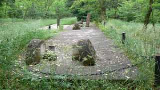 Kilze