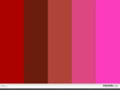 colourlovers.com Kimara