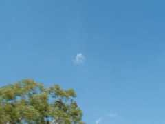mike.forgesystems.net Kimberleys