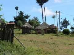Kimbia