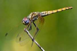 wonderfulphotos.com Kimbler