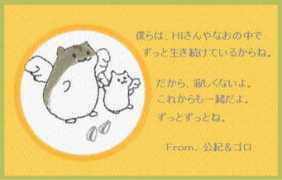kiminoriweb.com Kimichan