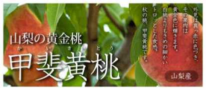 furu-tsu.net Kimomo