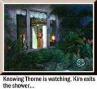 boldbeautifulfan.com Kimsal