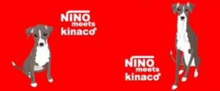 Kinaco