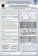 gene-quantification.de Kindermann