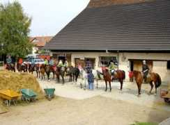 reitzentrum-bruetsch.ch Kinderr